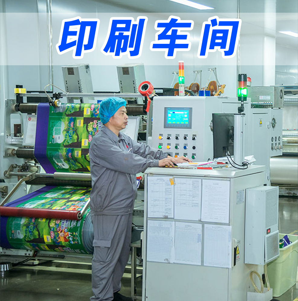 濰坊揭阳复森汽车制造有限责任公司(H5网站)，根據(jù)客戶需求(qiu)定制不同(tong)款式包裝(zhuāng)袋